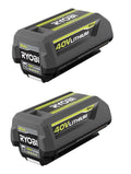 40V 4.0 Ah Lithium-Ion Battery 2-Pack F353656