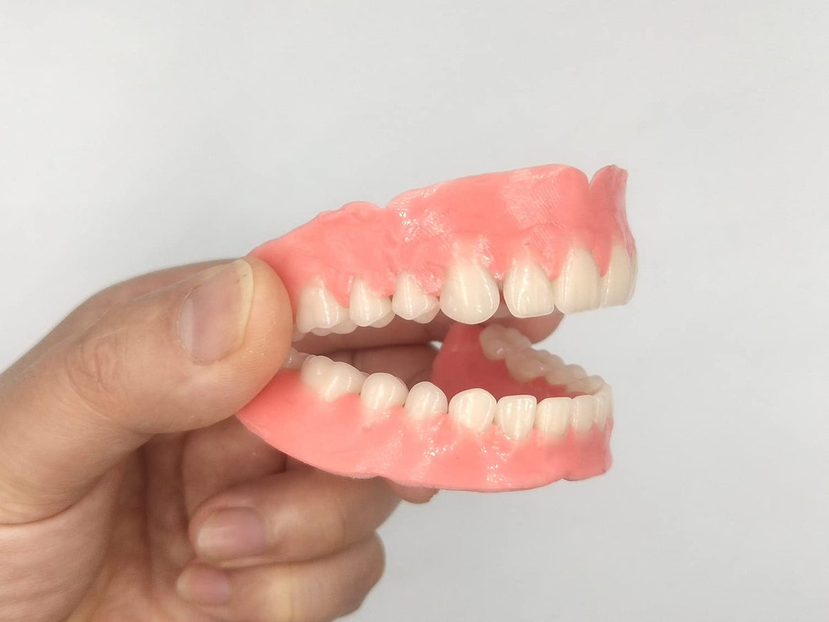 Full Set of Top and Bottom Fake Teeth E53908
