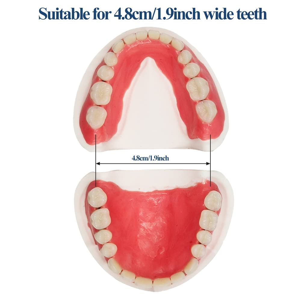 Full Set of Top and Bottom Fake Teeth E53908