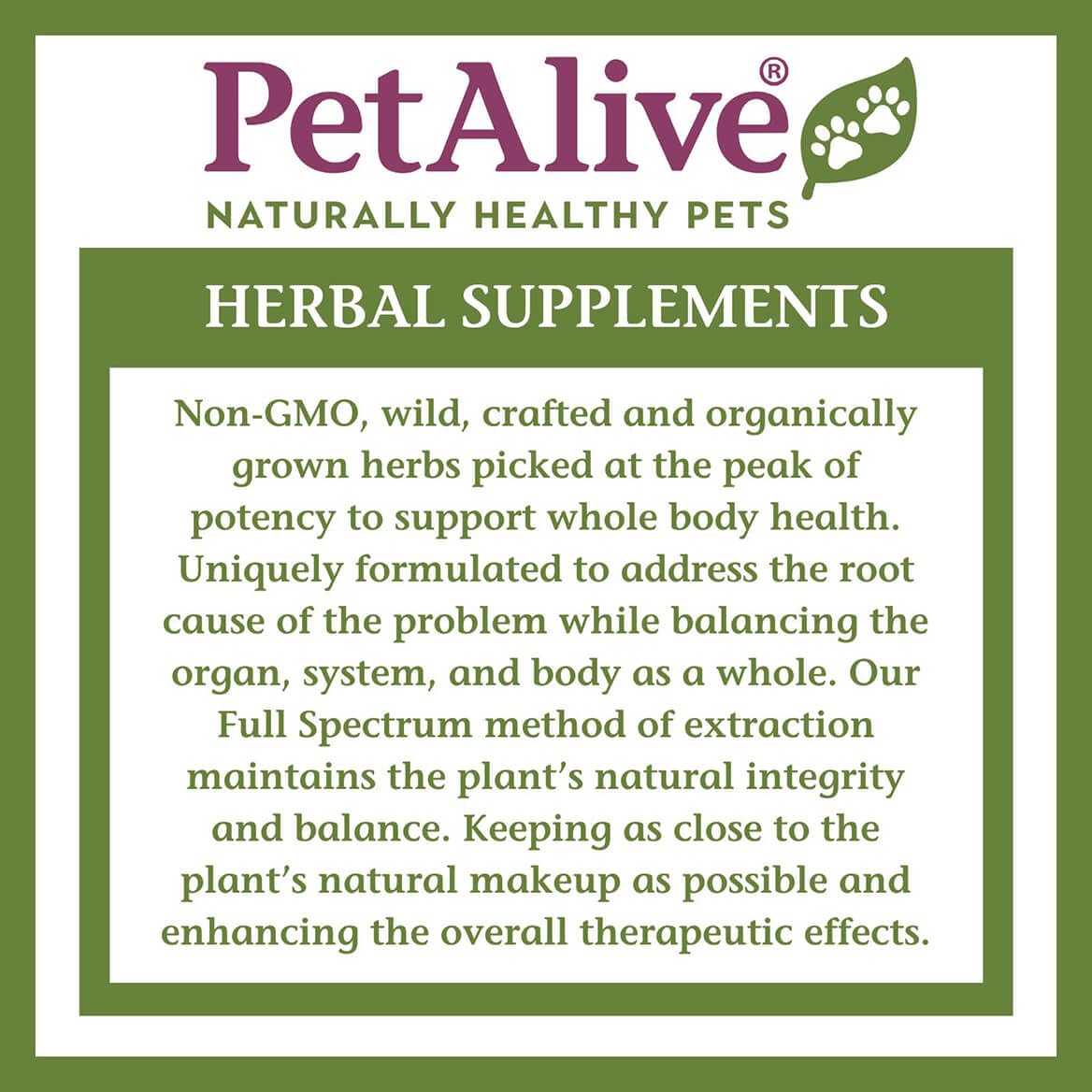 2 Fl Oz Herbal Nervous System Support for Pets C84600