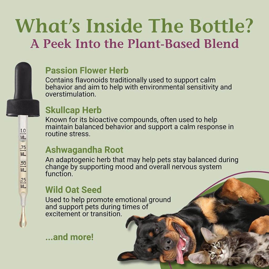 2 Fl Oz Herbal Nervous System Support for Pets C84600