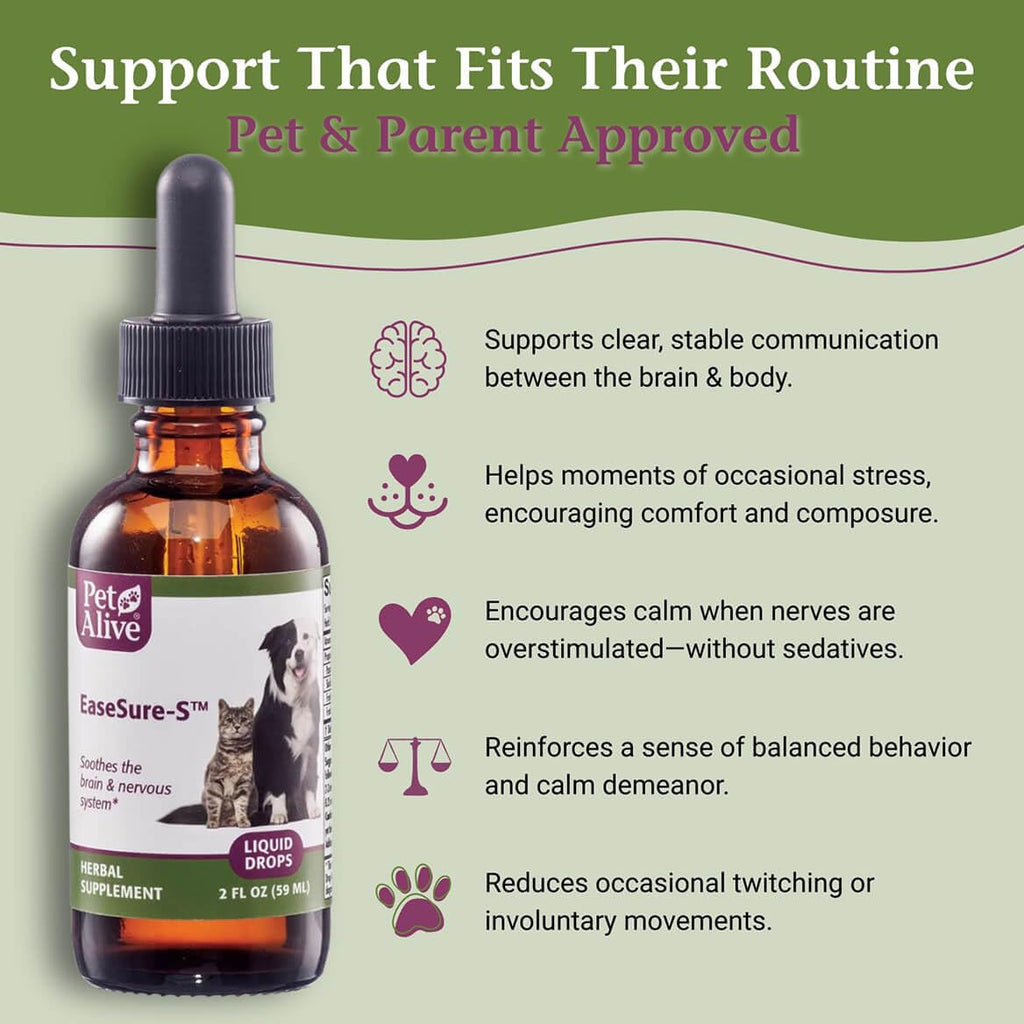 2 Fl Oz Herbal Nervous System Support for Pets C84600