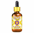 Babchi Oil with Glass Dropper 30ml Z325195