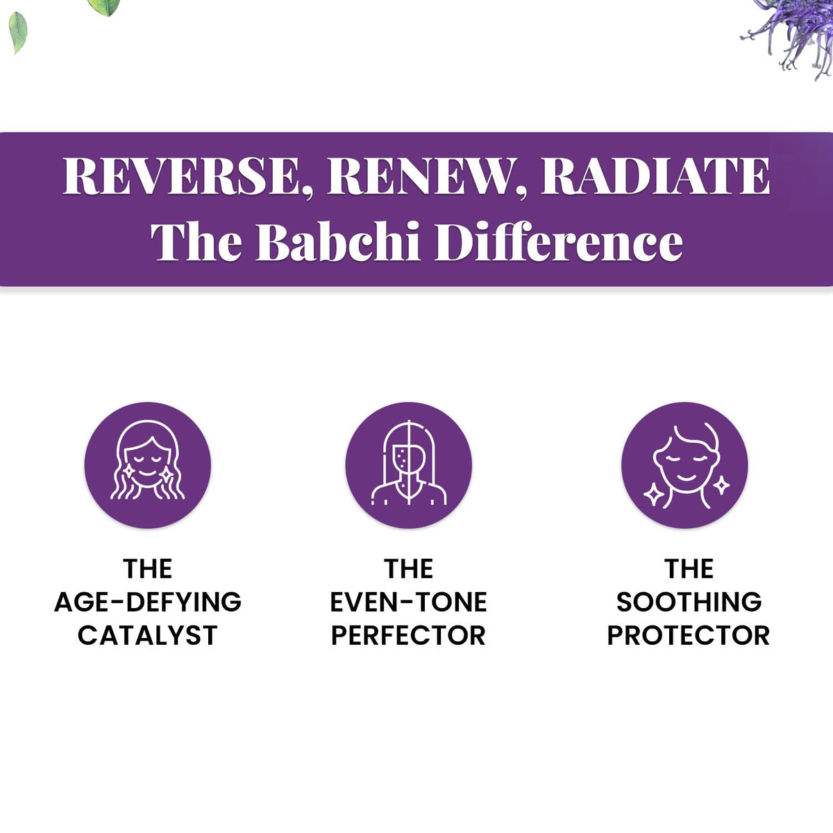 Babchi Oil with Glass Dropper 30ml Z325195