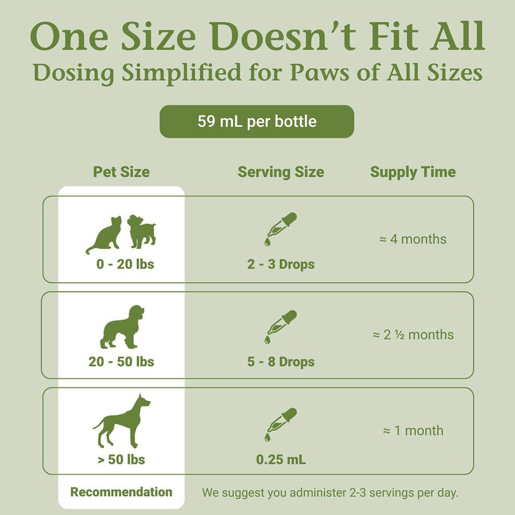 2 Fl Oz Herbal Nervous System Support for Pets C84600