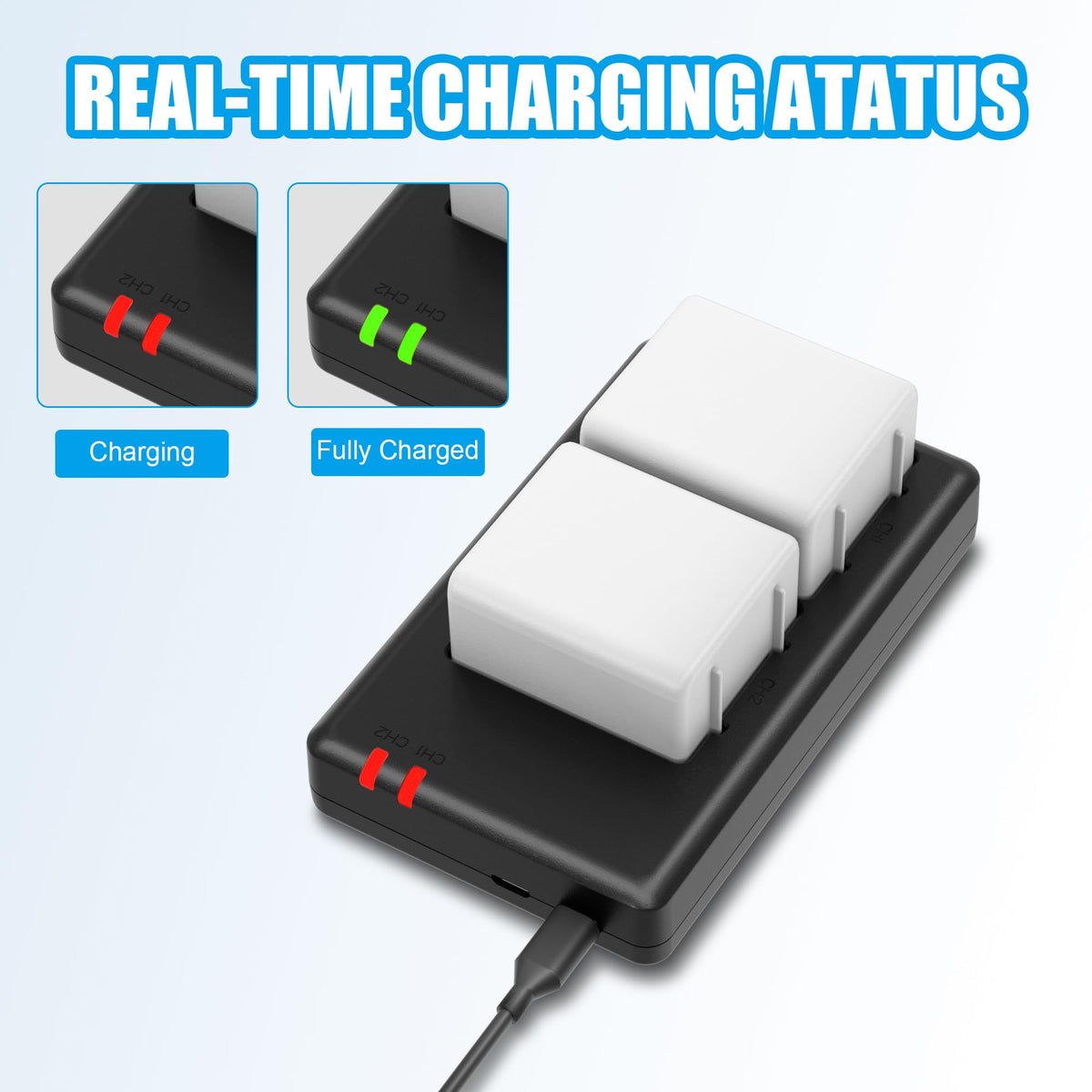 4800mAh Batteries with Dual Battery Charger X200