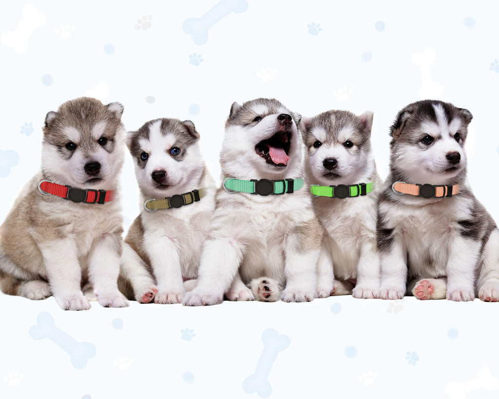 20 PCS Nylon Breakaway Puppy Collars A322506
