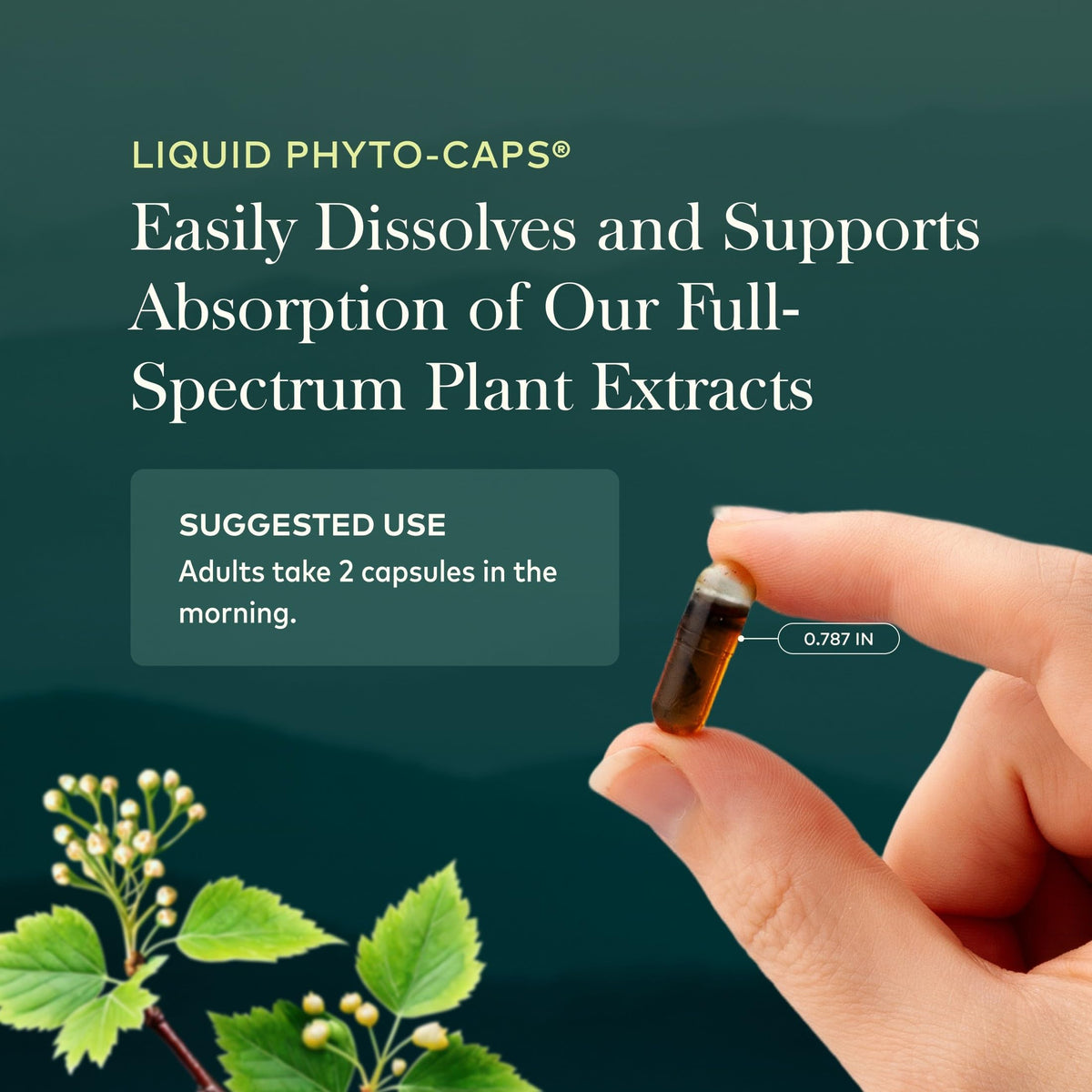 60 Vegan Capsules N19132