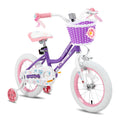Girls Bike for Toddlers and Kids C66132
