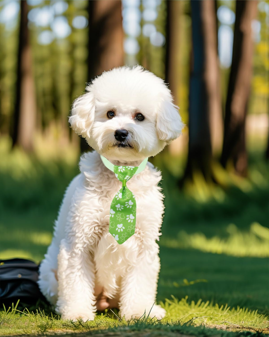 100 Pack Small Dog Bows and Ties X396