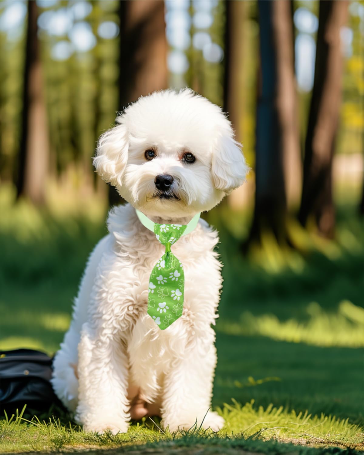 100 Pack Small Dog Bows and Ties X396