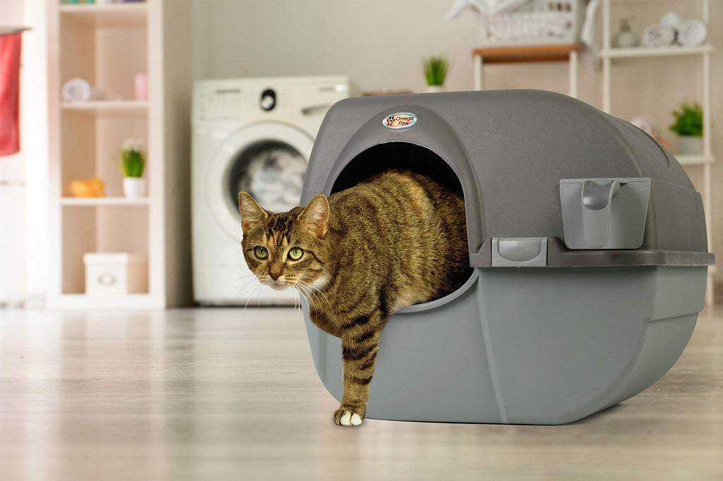 Large Brown Self Cleaning Litter Box F3599