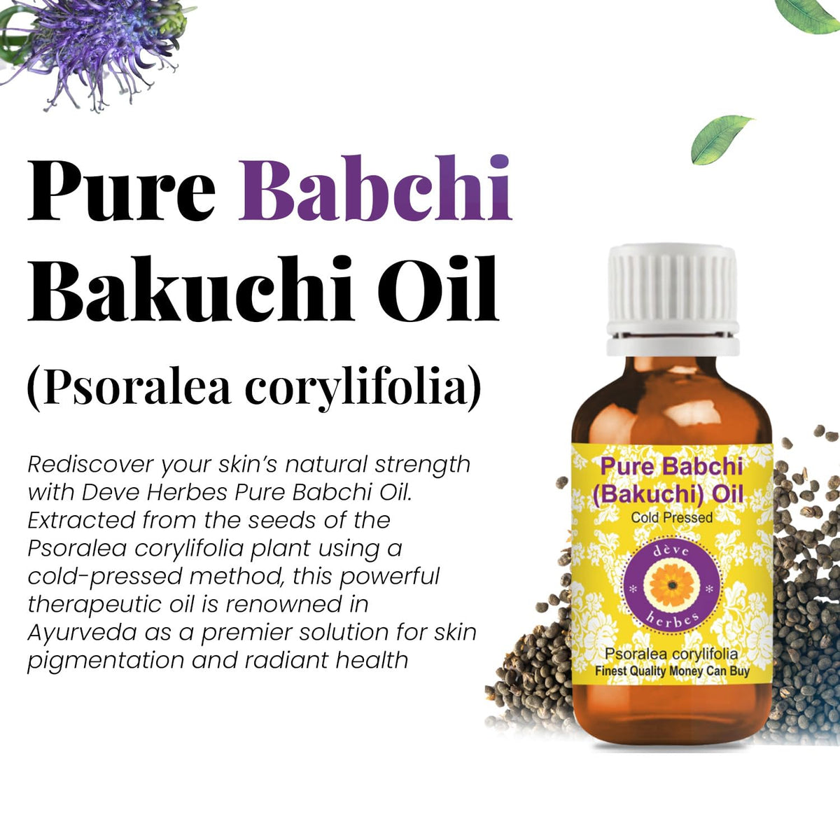 Babchi Oil with Glass Dropper 30ml Z325195