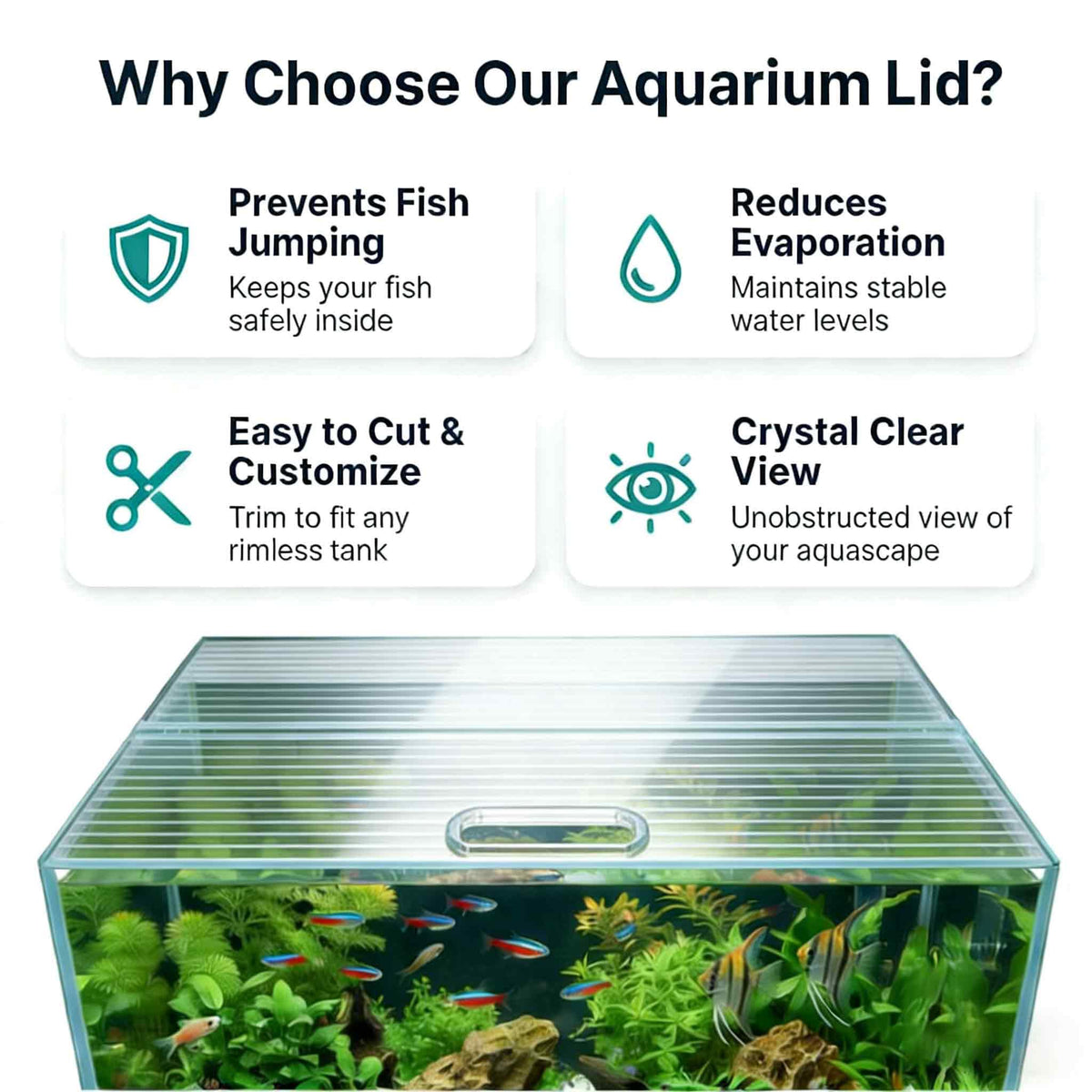 Clear Polycarbonate Aquarium Lid H4888