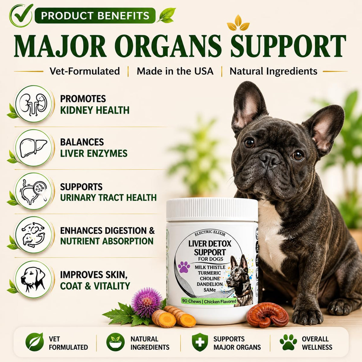 Liver Support Supplement for Dogs – Milk Thistle, Turmeric, Same & Choline – 90 Chews V6898