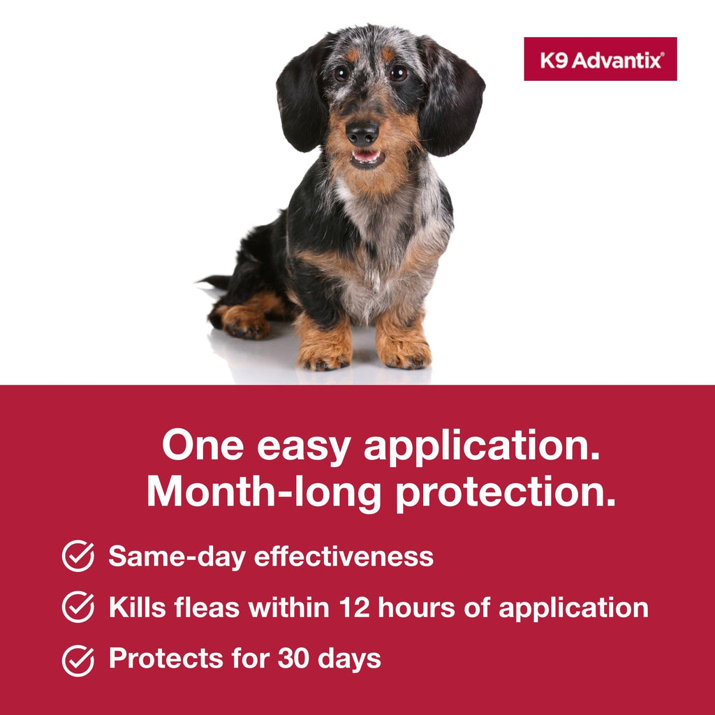 Flea Tick Mosquito Prevention for Dogs 4-10 lbs U155