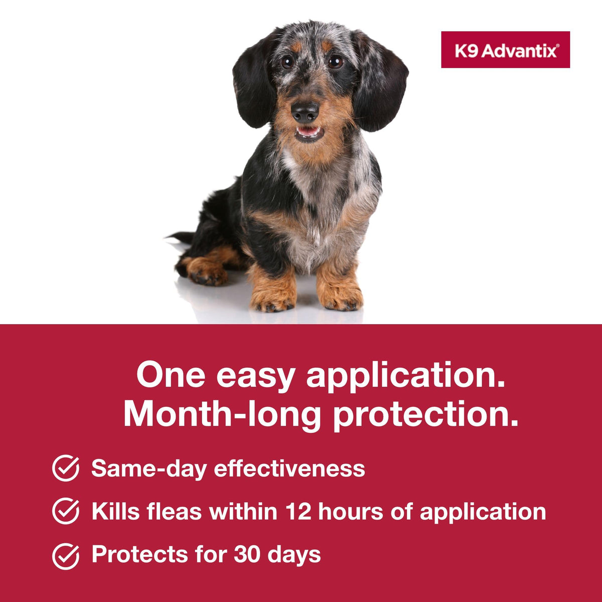 Flea Tick Mosquito Prevention for Dogs 4-10 lbs U155