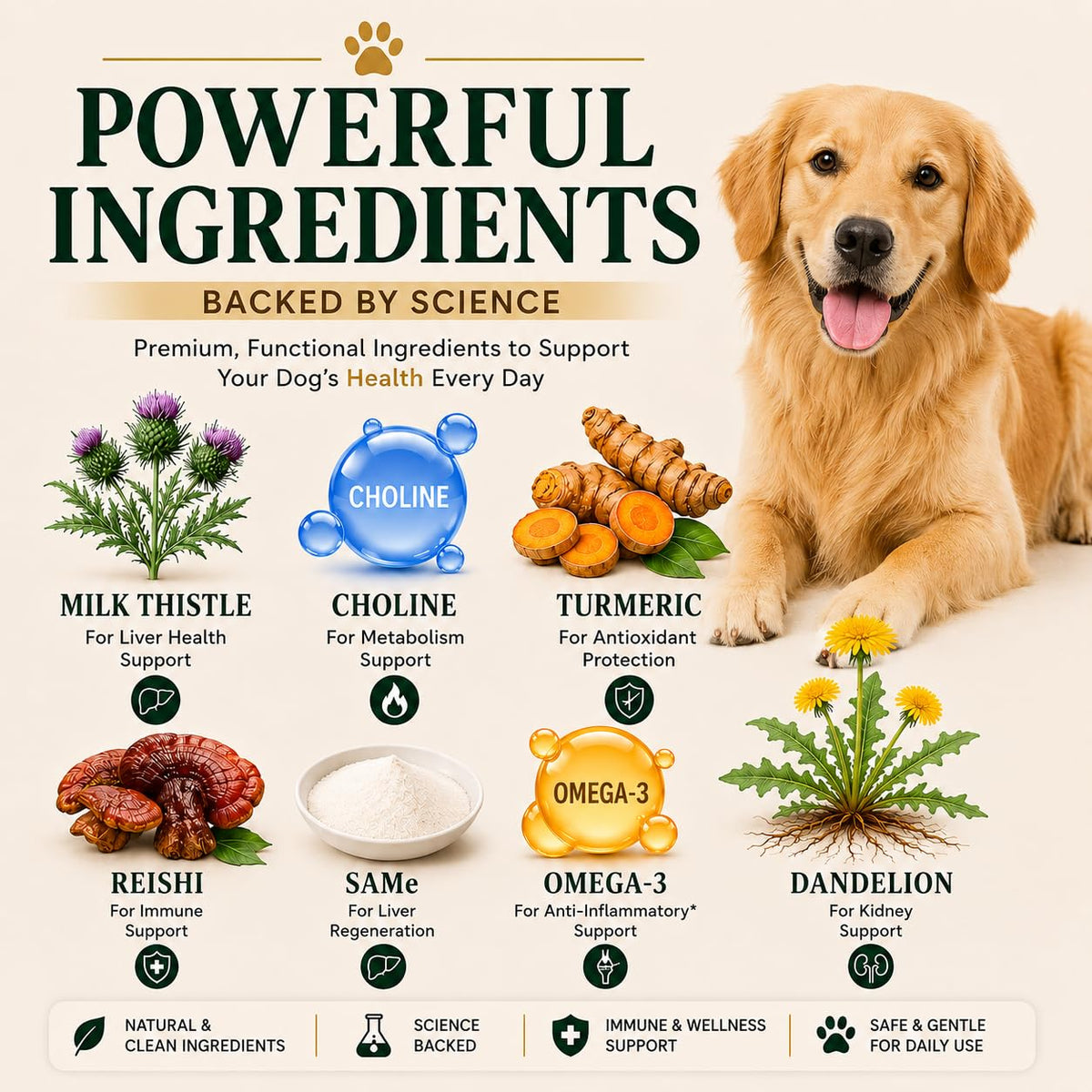 Liver Support Supplement for Dogs – Milk Thistle, Turmeric, Same & Choline – 90 Chews V6898