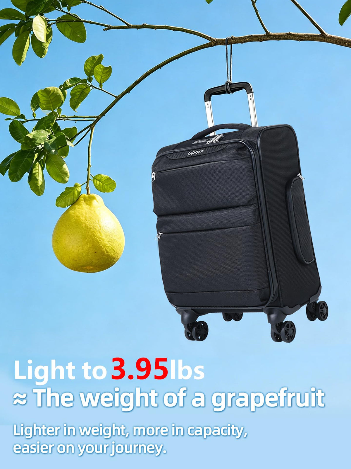 20" Carry On Softside Luggage Black S1164