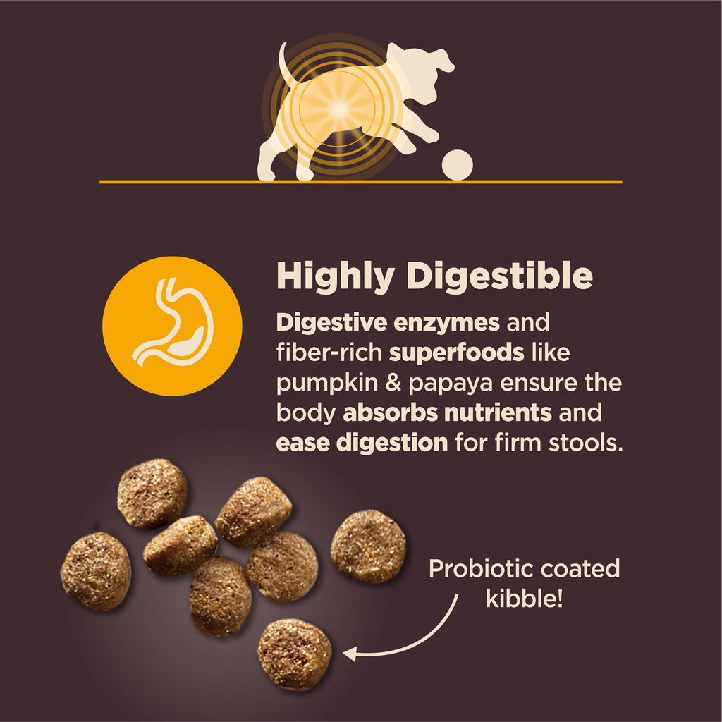 Chicken and Brown Rice Dry Dog Food, 24 lb Bag P3972