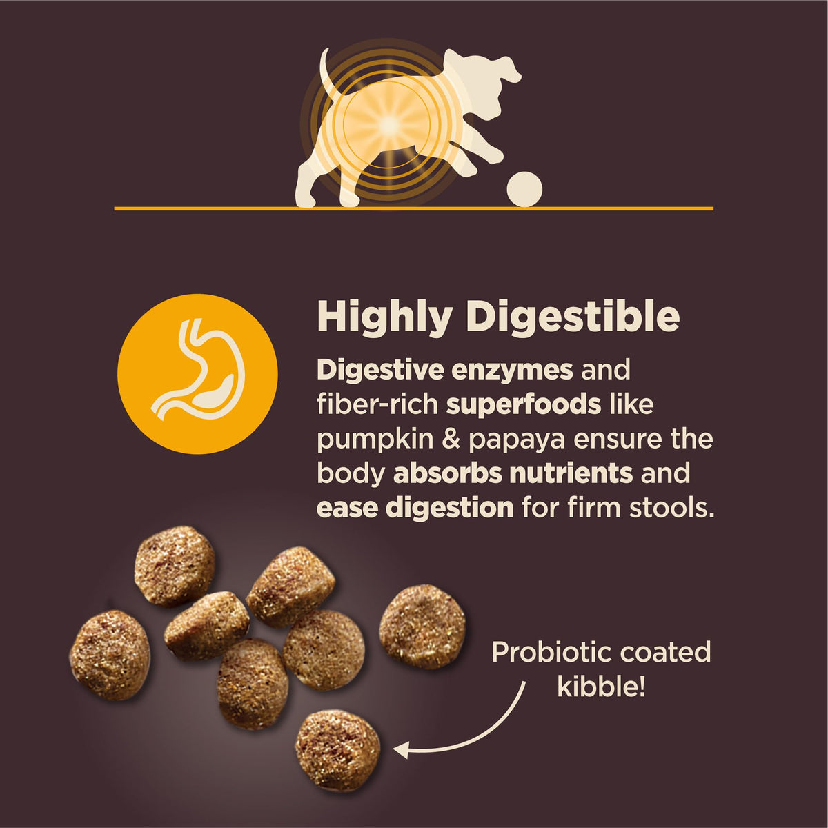 Chicken and Brown Rice Dry Dog Food, 24 lb Bag P3972