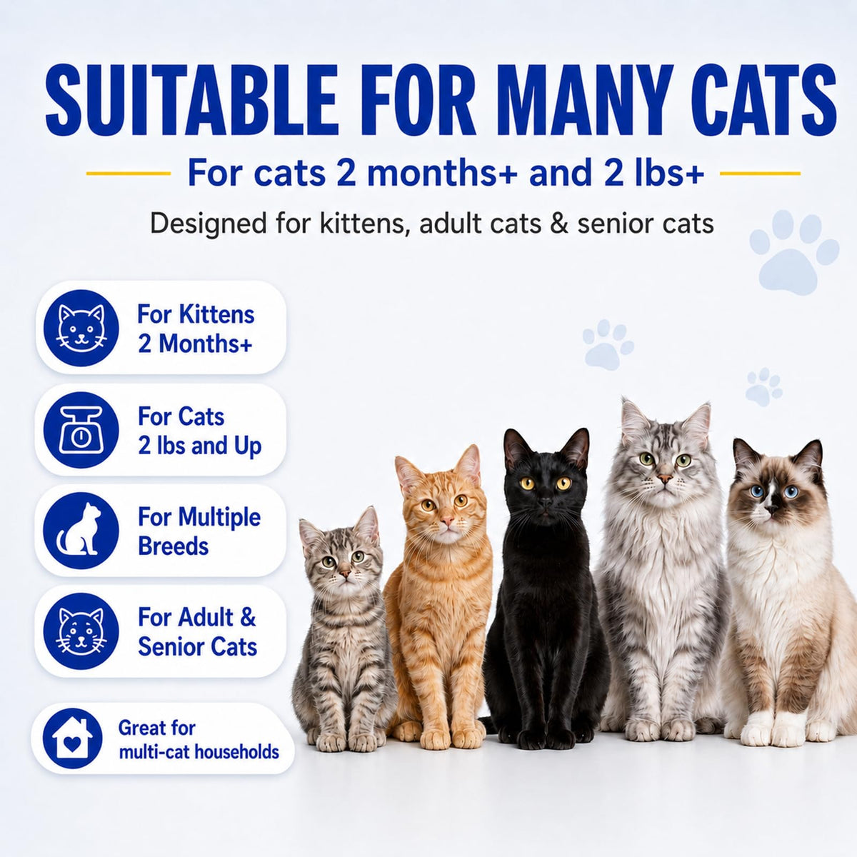 Cat Dewormer Tablets for Tapeworms, Roundworms and Hookworms D500324