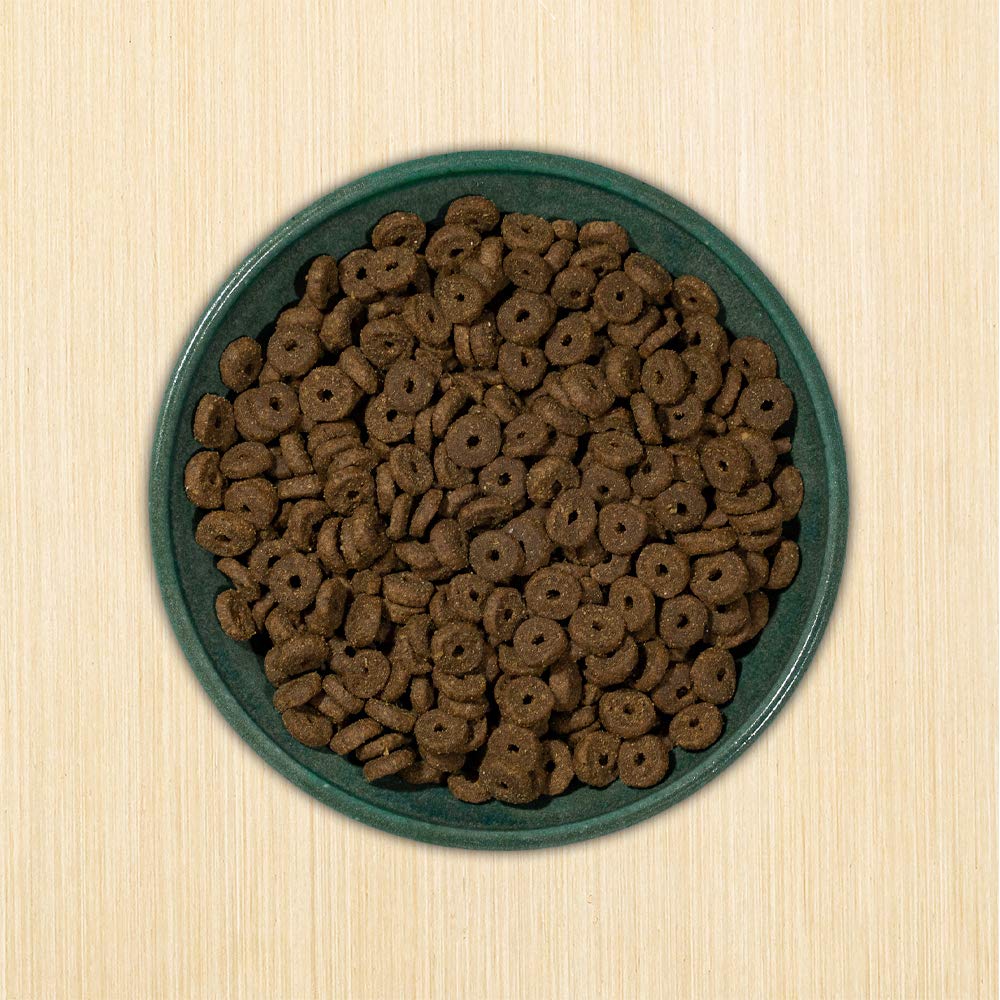 Grain-Free Chicken & Fish Dry Cat Food 12-lb Bag H80242