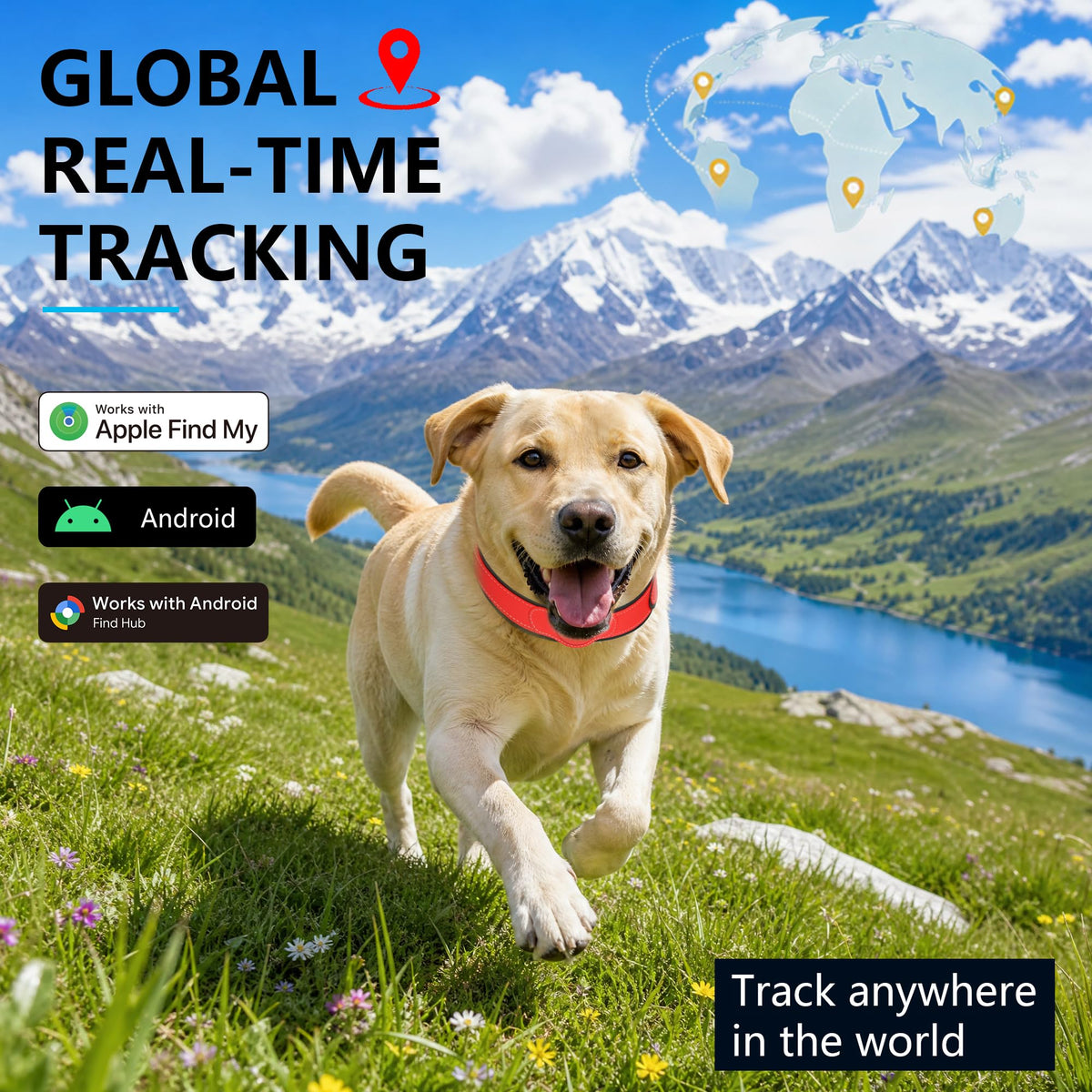 GPS Tracker for Dogs, Pet Location Tracker with Collar R684746