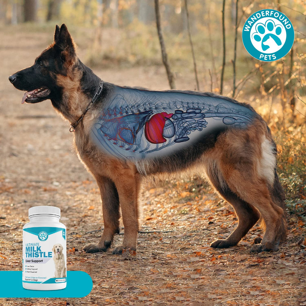 Milk Thistle for Dogs Chewable Tablets A191342
