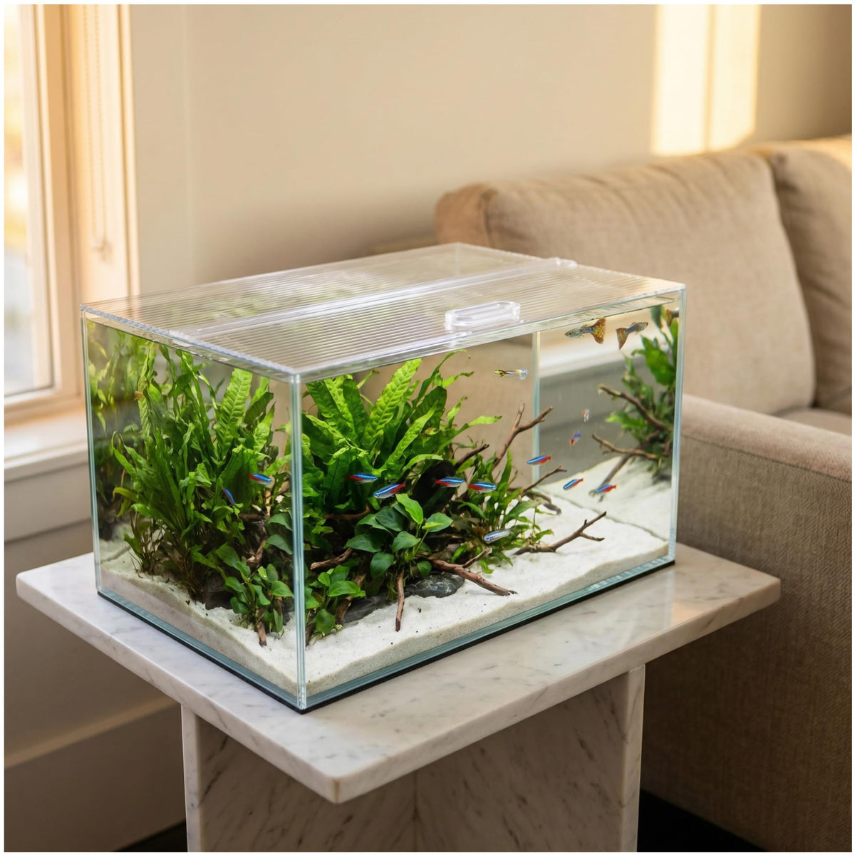 Clear Polycarbonate Aquarium Lid H4888