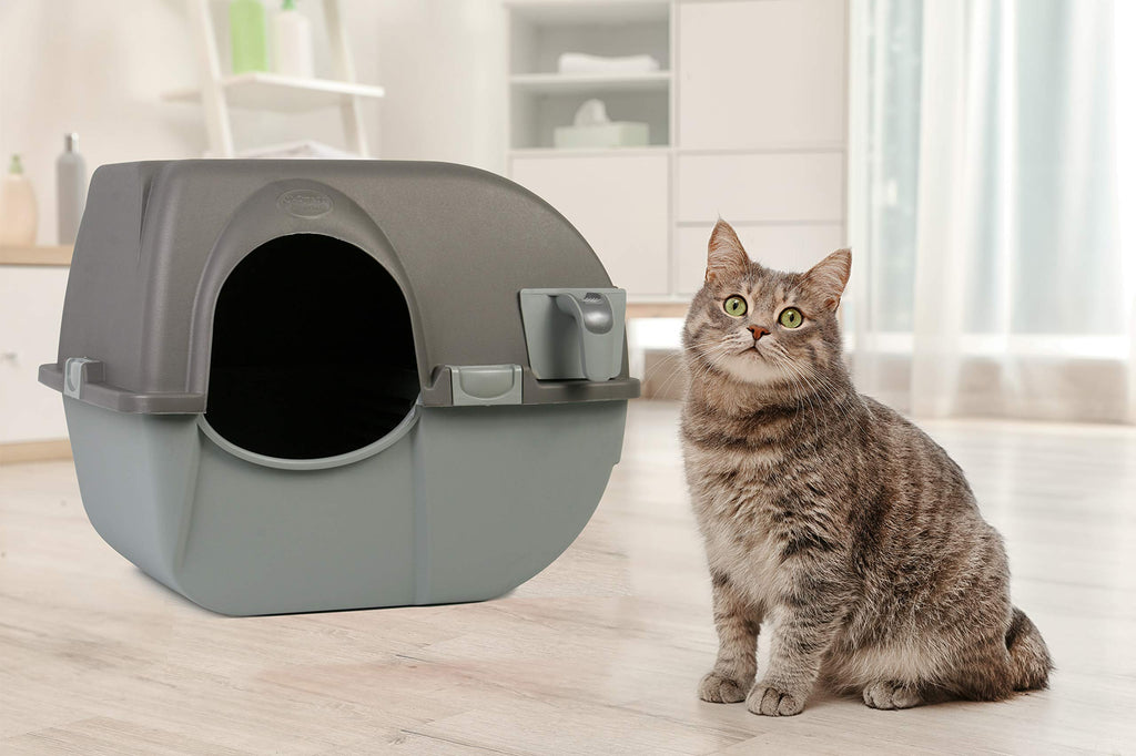 Large Brown Self Cleaning Litter Box F3599