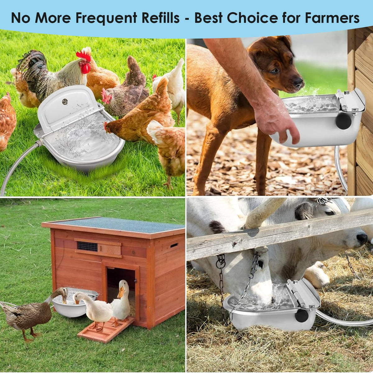 Stainless Steel Poultry Waterer U303