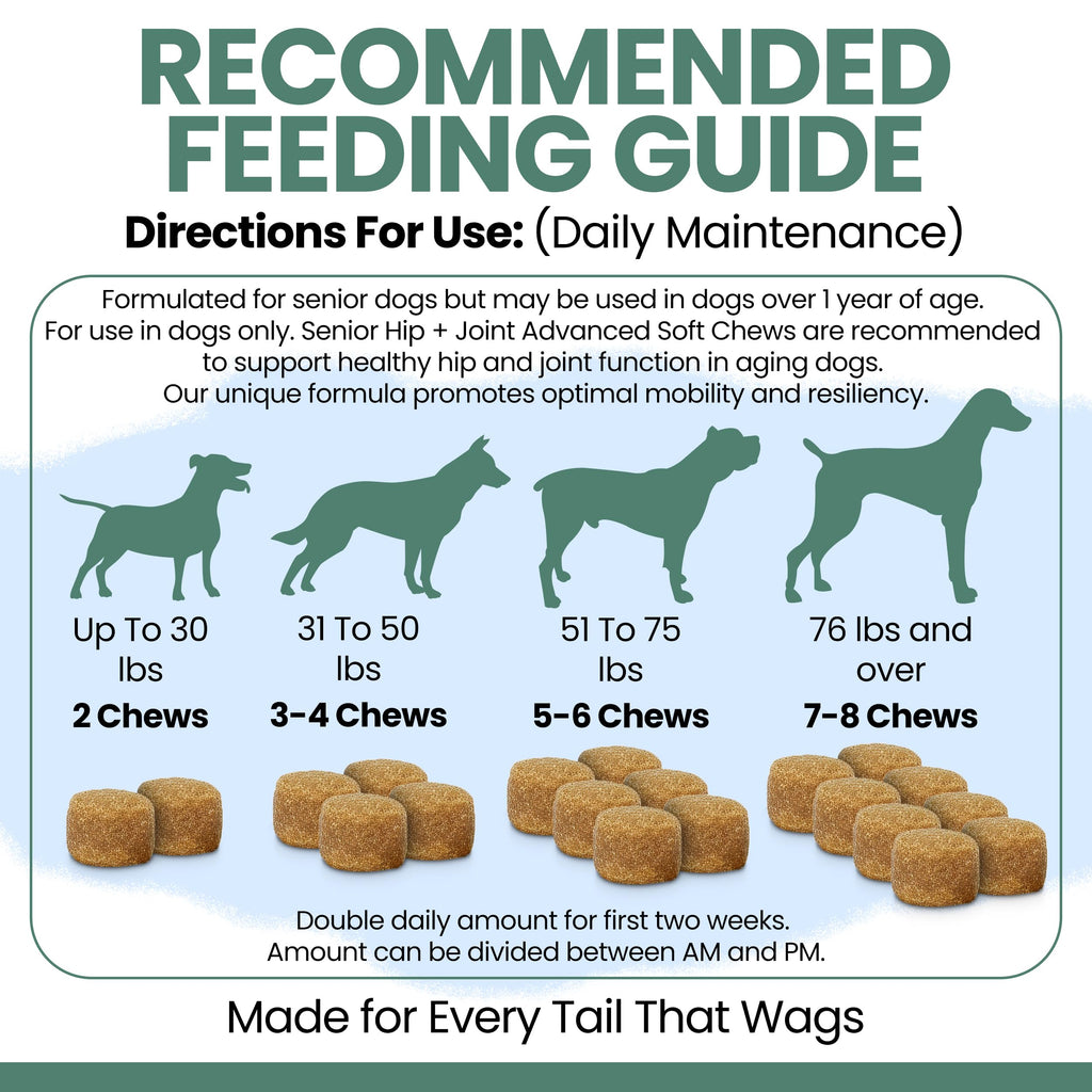 Glucosamine Chondroitin MSM Soft Chews for Dogs K991