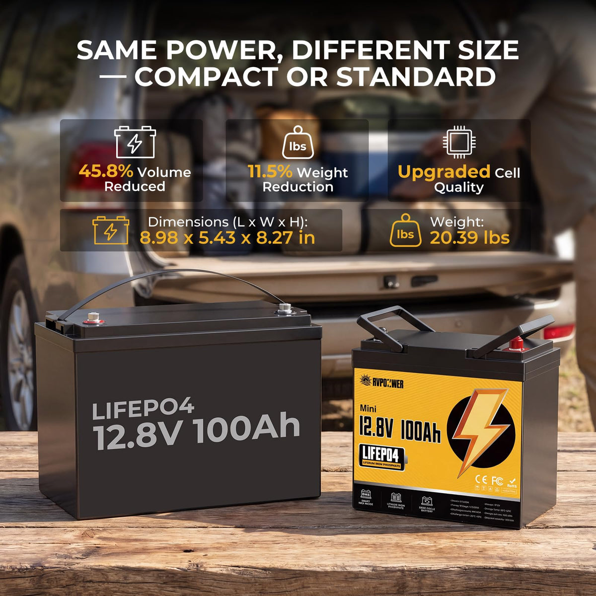 12V 100Ah LiFePO4 Battery Group 24 C85432