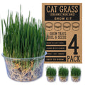 Organic Cat Grass Grow Kit 4 Pack Non GMO Heirloom Seeds N43370
