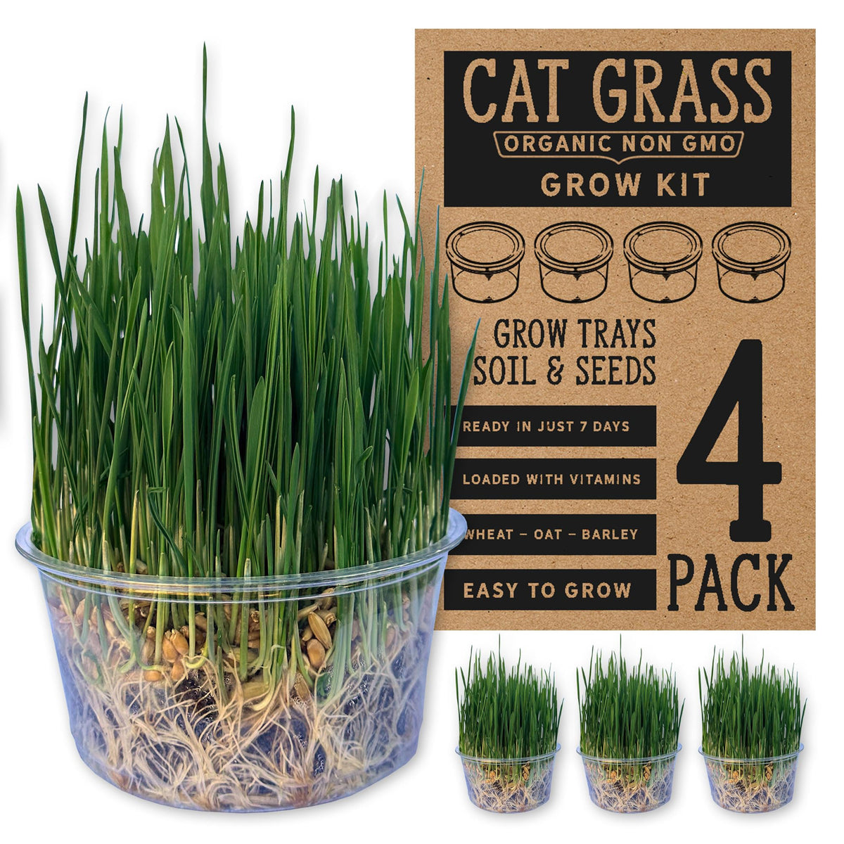 Organic Cat Grass Grow Kit 4 Pack Non GMO Heirloom Seeds N43370