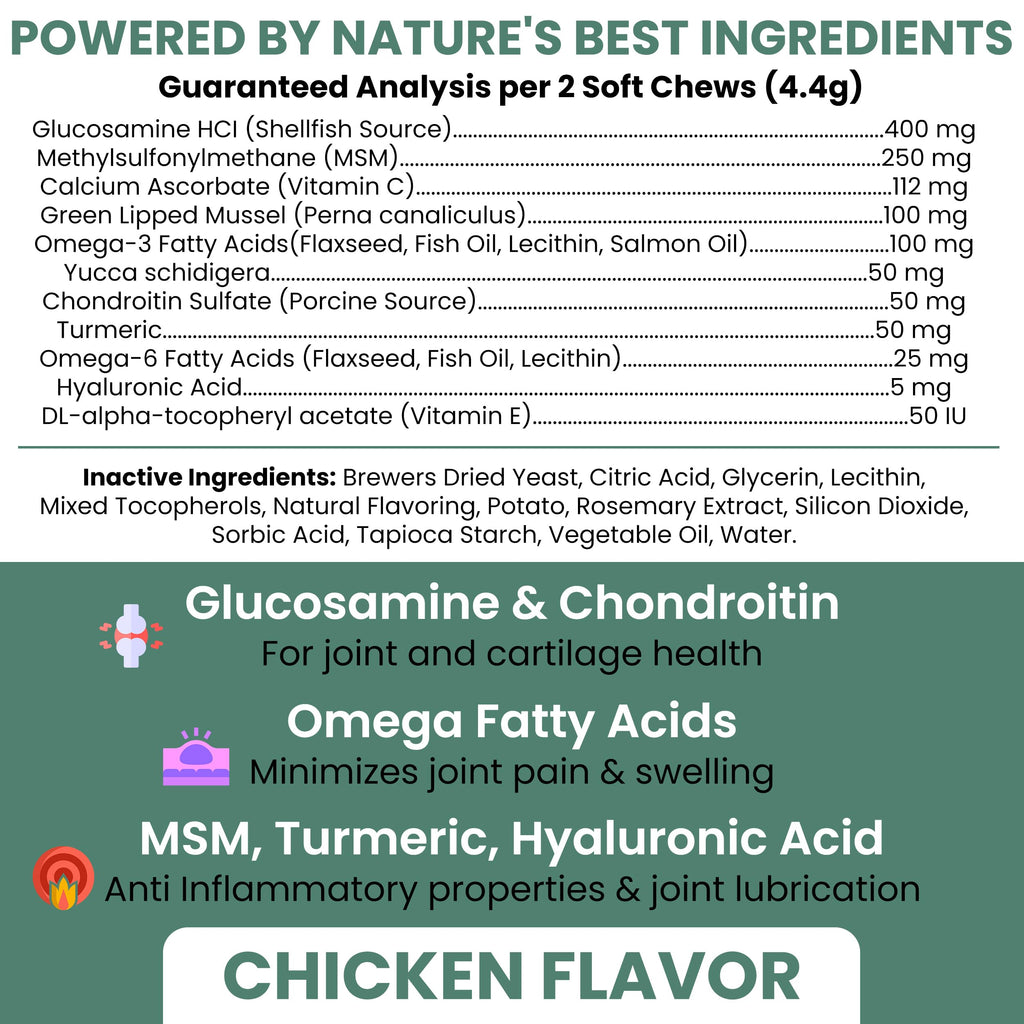 Glucosamine Chondroitin MSM Soft Chews for Dogs K991