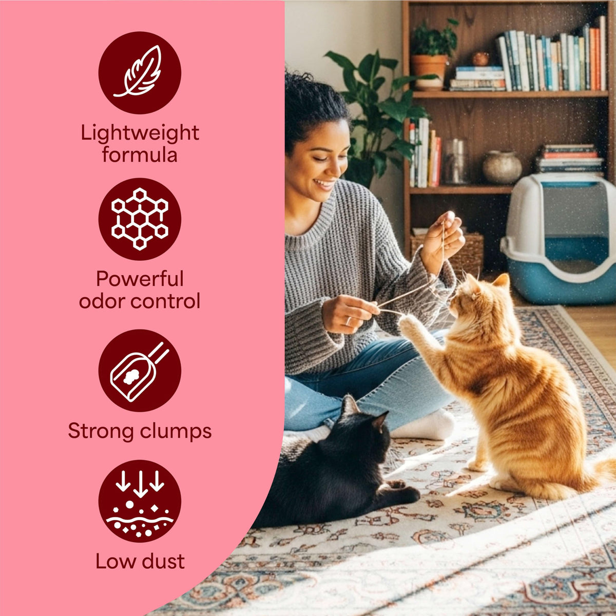 Light Weight Clumping Litter 11.5 lb. 2Pk V22119