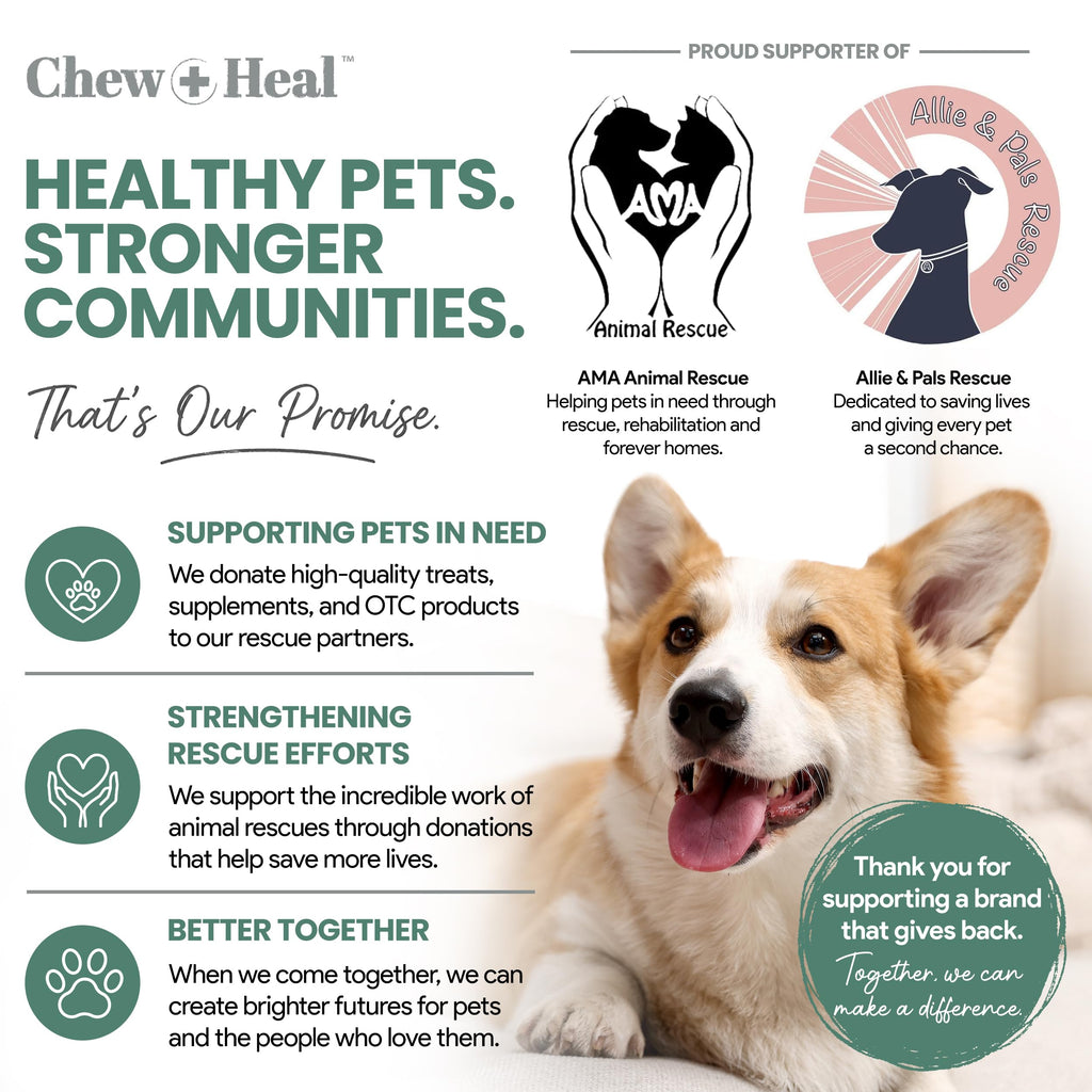 Glucosamine Chondroitin MSM Soft Chews for Dogs K991