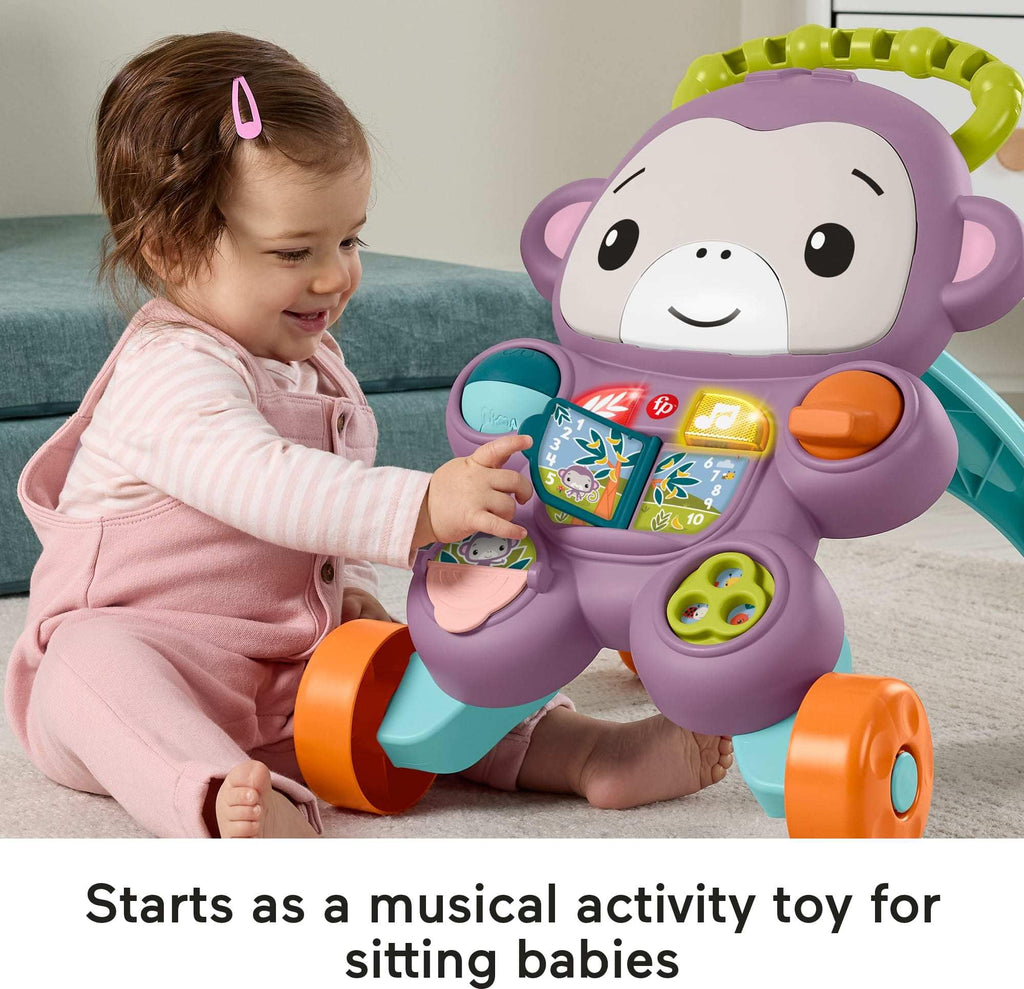 Purple Monkey Baby Walker with Music Lights & Activities G80636