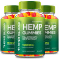 Hemp Gummies 3 Pack S795