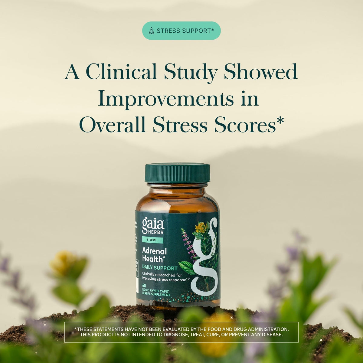 60 Vegan Capsules N19132