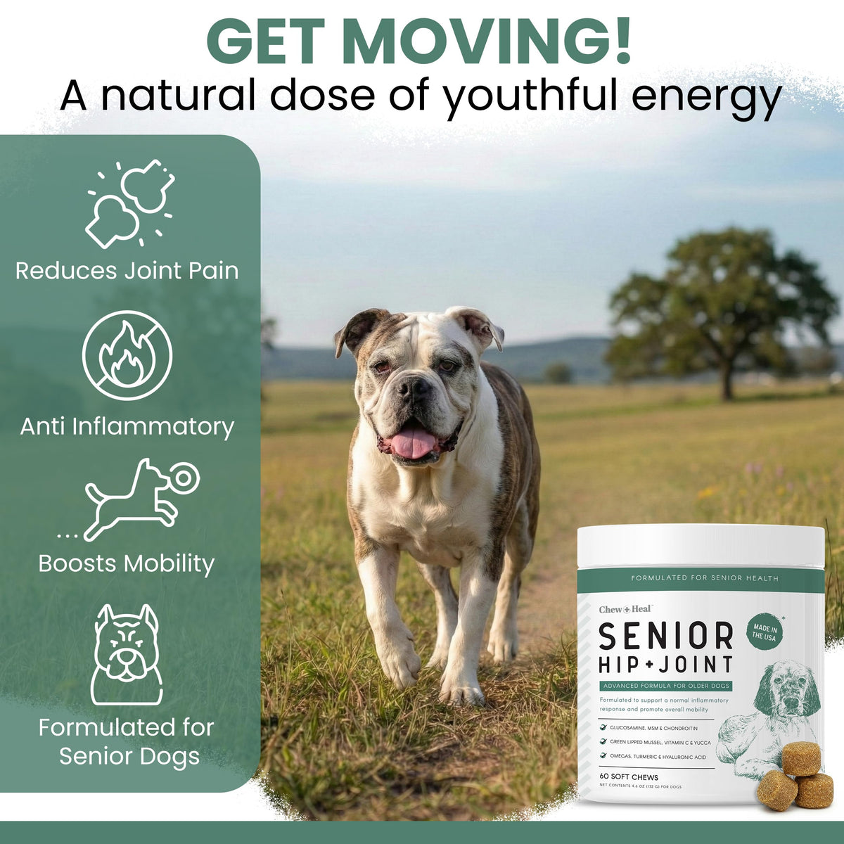Glucosamine Chondroitin MSM Soft Chews for Dogs K991