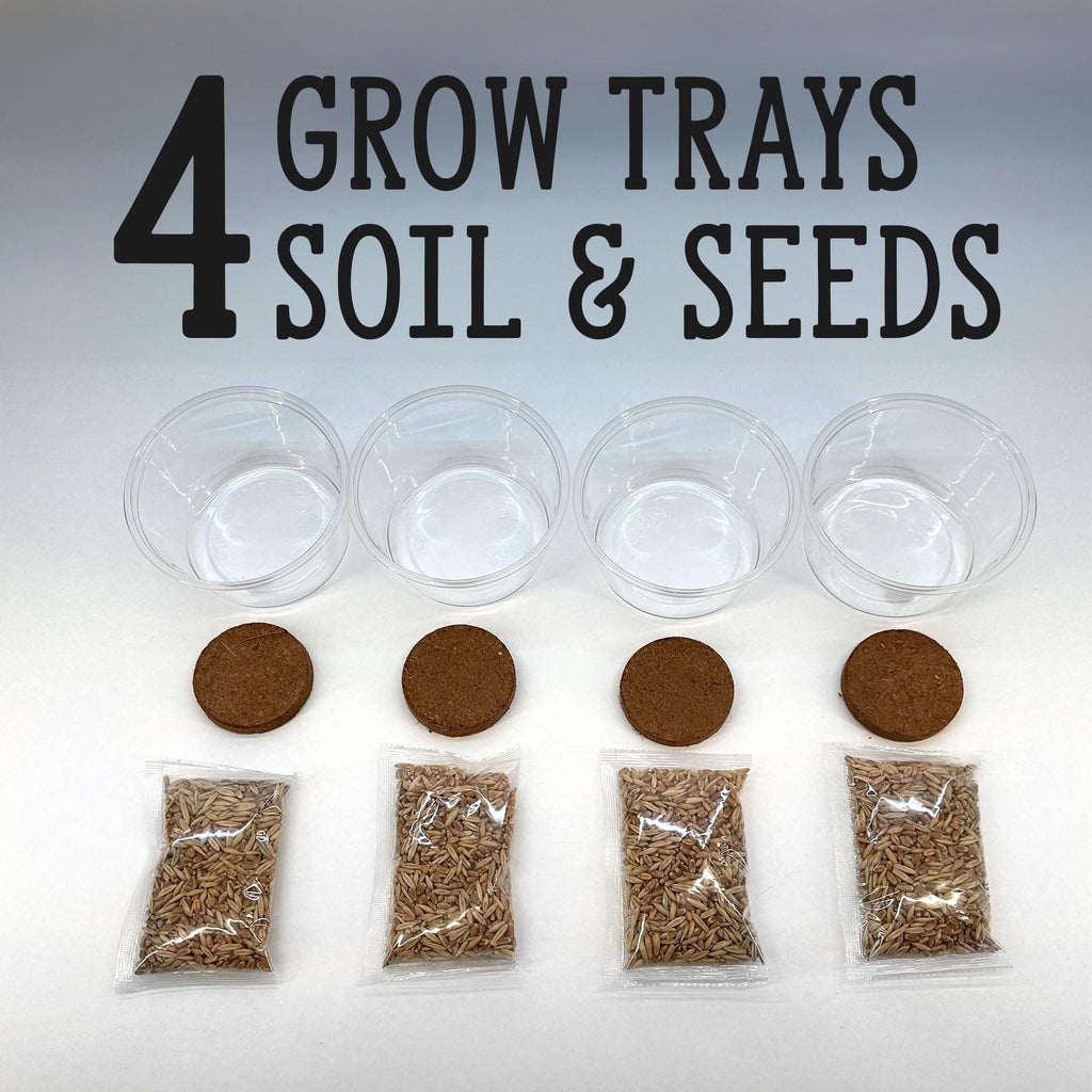 Organic Cat Grass Grow Kit 4 Pack Non GMO Heirloom Seeds N43370