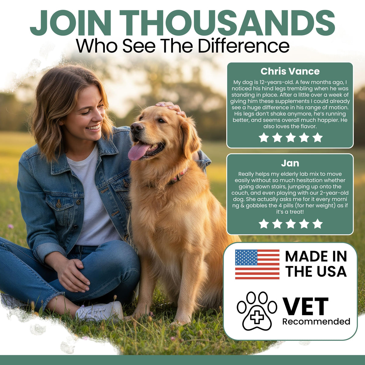 Glucosamine Chondroitin MSM Soft Chews for Dogs K991